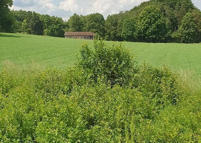 Apartament Zum Schneider Pottenstein