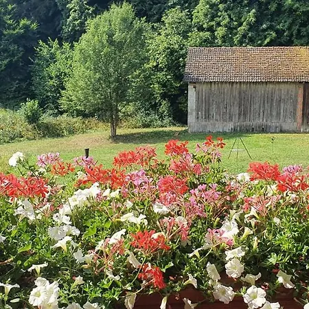 Appartement Zum Schneider
