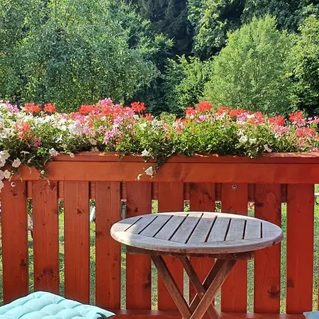 Zum Schneider Apartmán *
